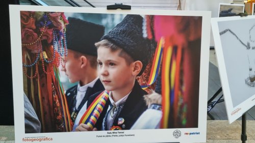 Salonul Național de Fotografie 2024 Poza 312485