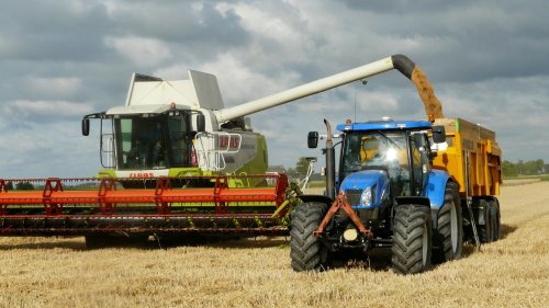 Sprijin educaţional pentru elevii liceelor agricole Poza 314206