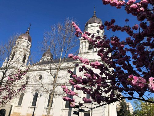 Tradiţia muzicii bisericeşti psaltice şi corale la Catedrala Mitropolitană din Iaşi Poza 314860