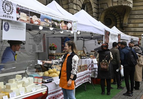 Târg în curtea Ministerului Agriculturii Poza 314978