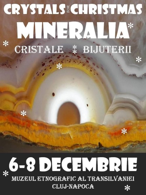 Ediția de iarnă a expoziției „Mineralia” de la Cluj Poza 317543