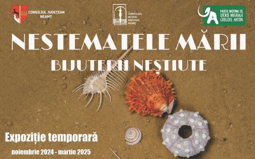 „Nestematele mării” Poza 317637