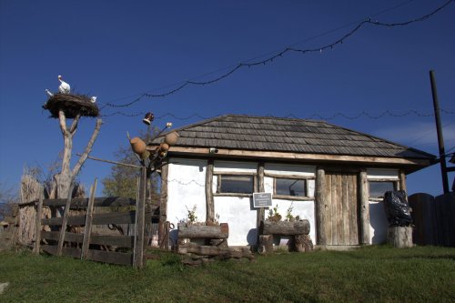 „Ulmi-Poleni”, memorialul care uneşte generaţii Poza 318356