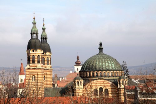 Demnitatea Ortodoxiei româneşti din Transilvania Poza 319877