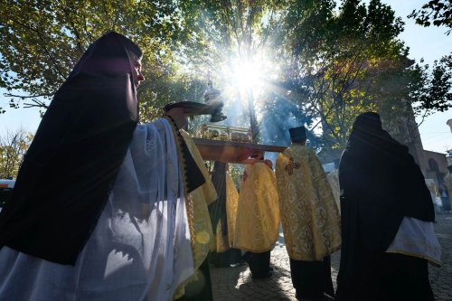 Lupta înțelepților