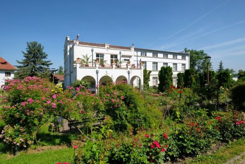 Plimbare printre zece mii de specii de plante