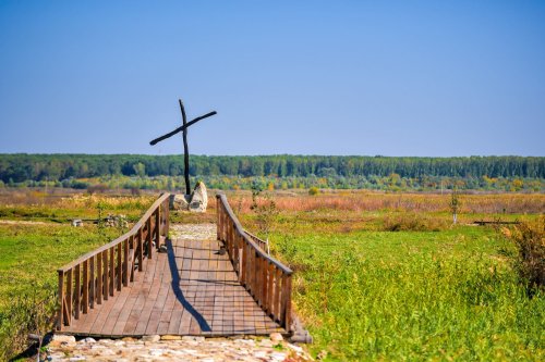 Sensul omului din perspectivă patristică