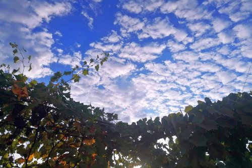 Iertarea de vrăjmași - o atitudine dumnezeiască