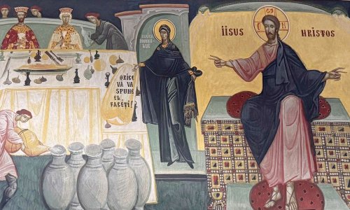 Coerența familiei Poza 355330