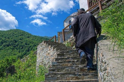 Pustnicul sfânt și ursul Poza 356999