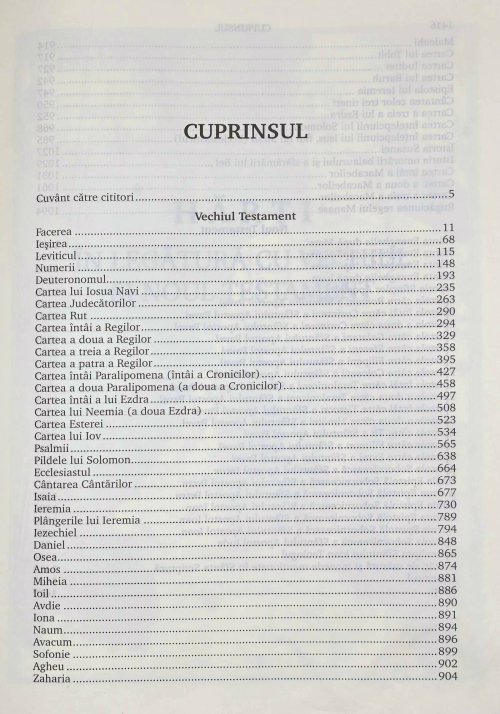 Dicționar teologic: canon, canonizare Poza 357813