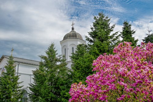 Bucuriile urmării lui Hristos