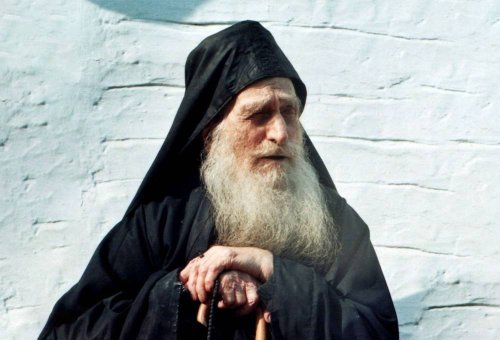 Frânturi de la o întâlnire care nu a mai avut loc Poza 362780
