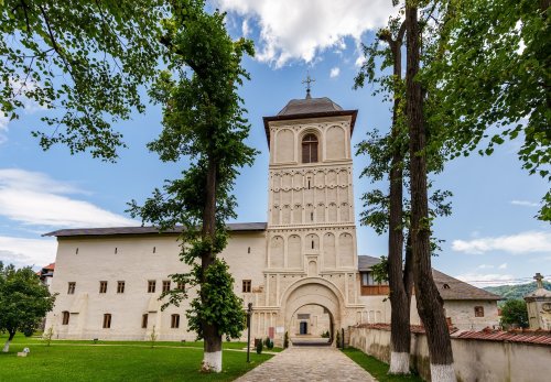 Lucrarea Sfântului Cuvios Ioanichie în cetatea Câmpulungului