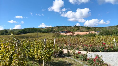 Jercălăi, Via Domnului - rădăcini de credință și roade de recunoștință