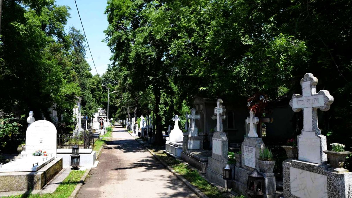varicose semne de mormânt)
