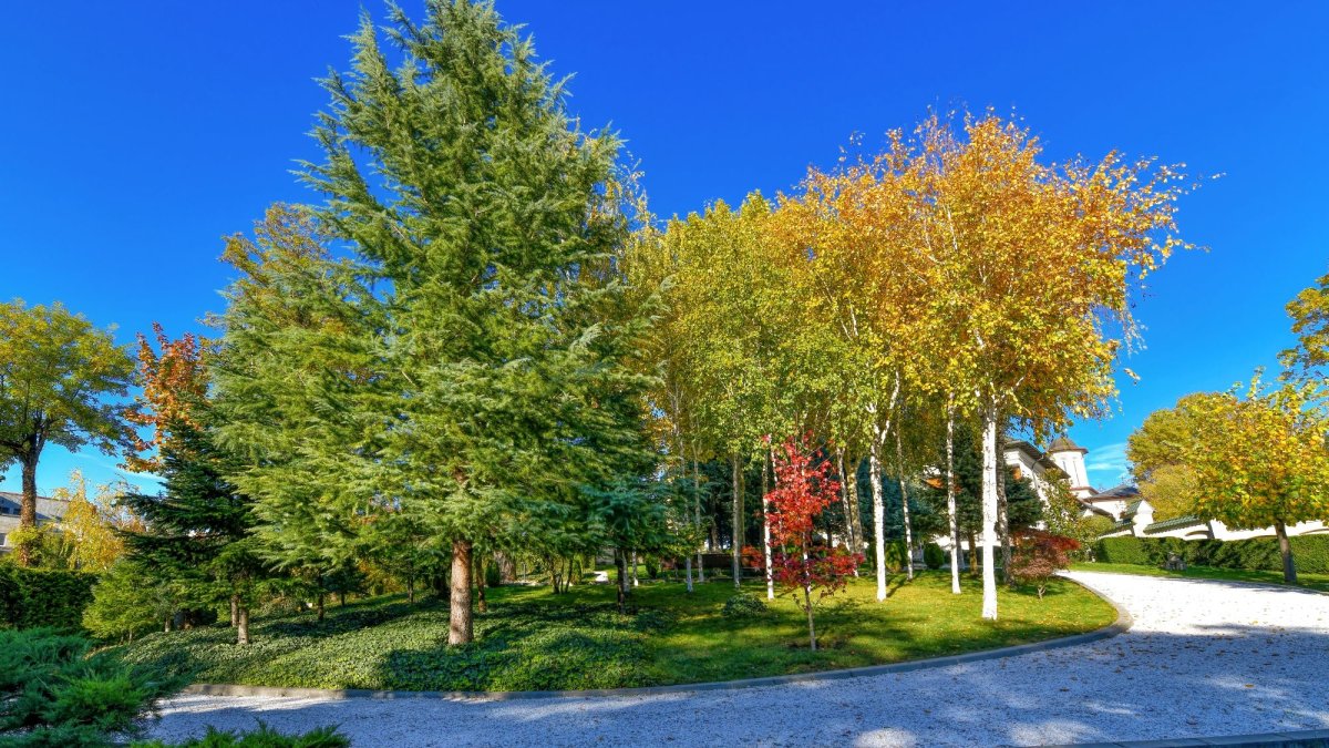 Sclipirile Luminii: Parcul „Grădina Maicii Domnului” al Reşedinţei Patriarhale din Bucureşti, toamna