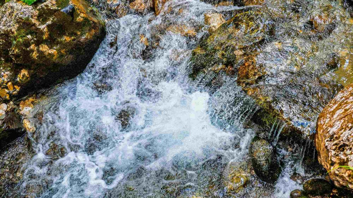 Averea care nu scade niciodată 