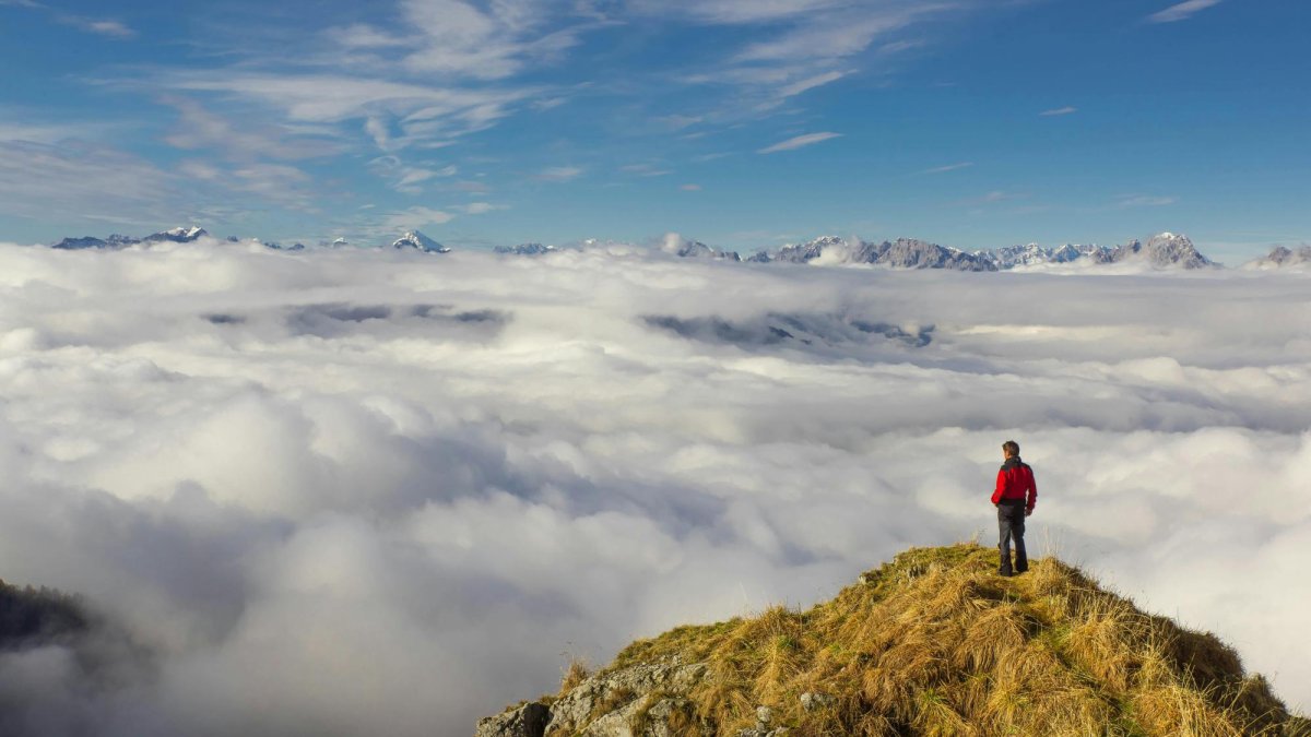Curajul care va învinge toate fricile