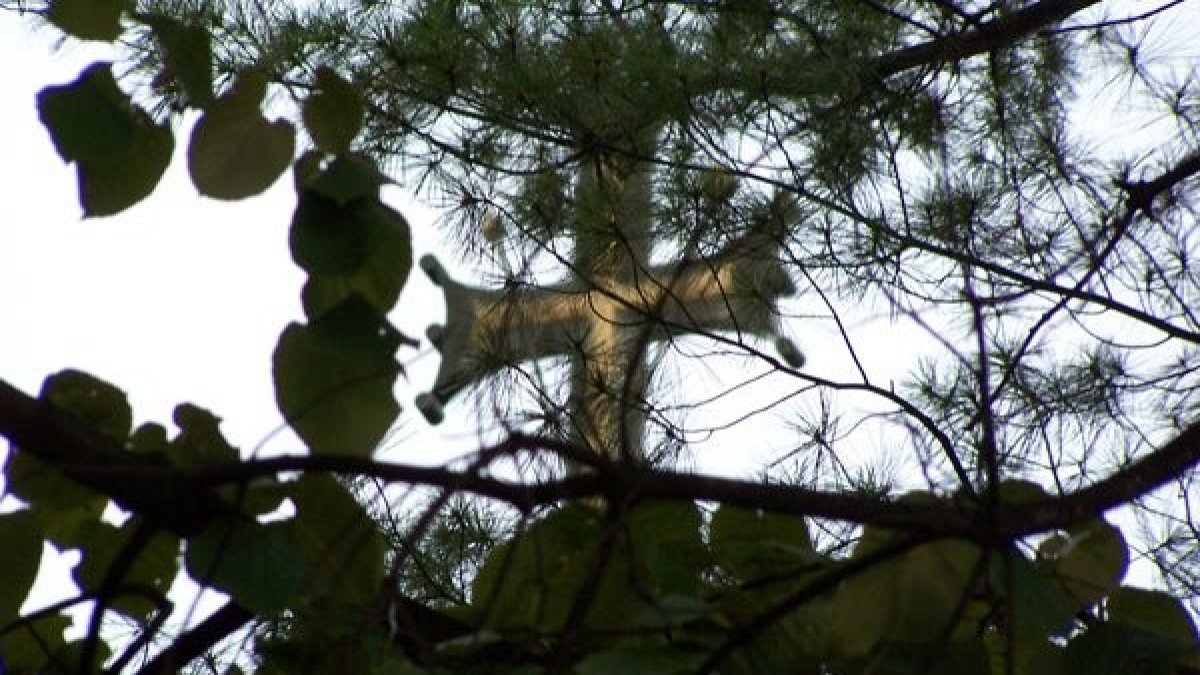 Crucii Tale ne închinăm, Stăpâne...!