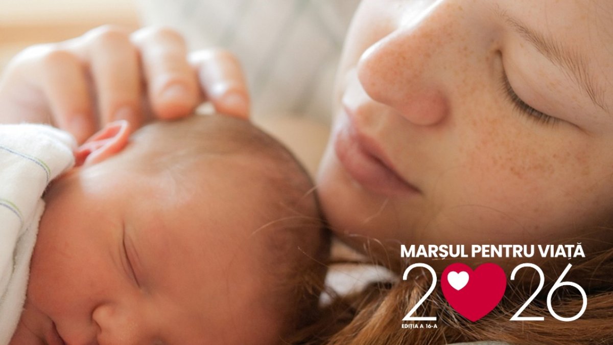 Viața este logica mea