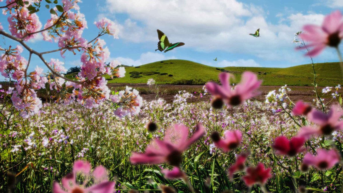 Natura, darul lui Dumnezeu pentru om
