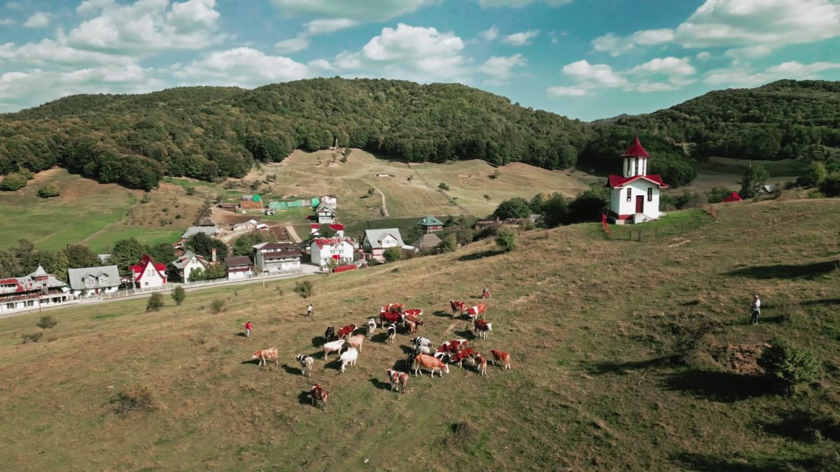 Valea Plopului, o insulă a speranţei pentru copiii fără şanse
