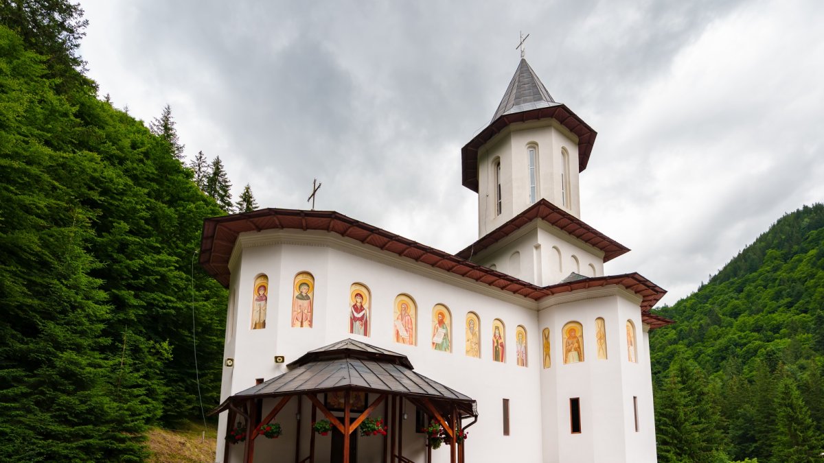 Ajutorul Sfântului Ilie Tesviteanul la Mănăstirea de la Paltinul-Piscul Negru