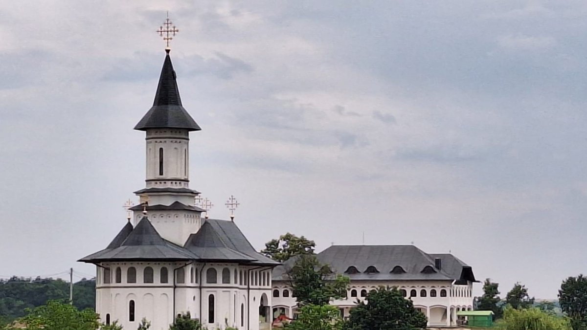 Un fiu al Banatului, Patriarhul Daniel al României