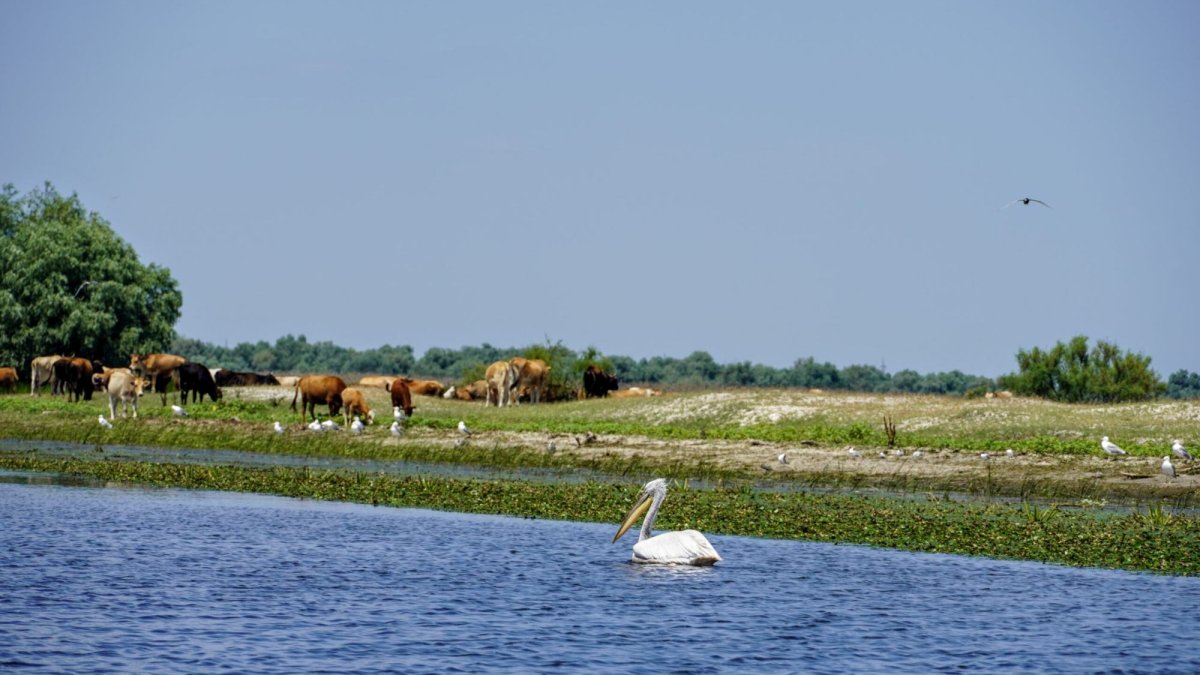 Grija pentru biodiversitate - o formă de mărturisire a credinței