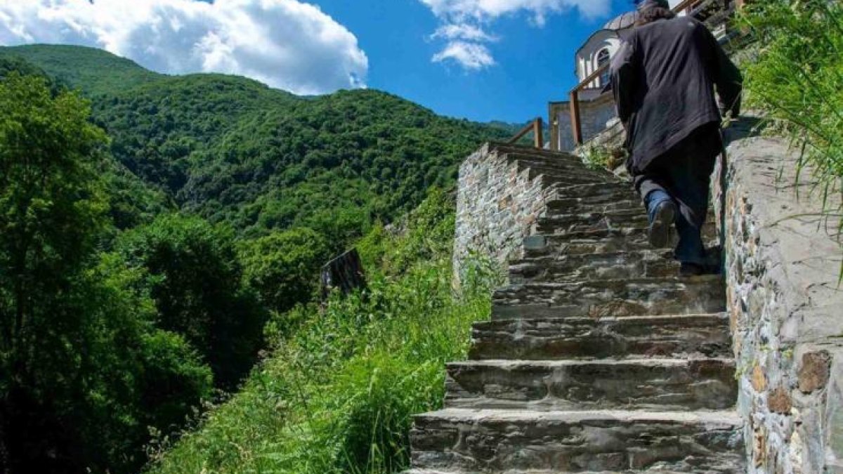 Cele trei trepte ale libertății