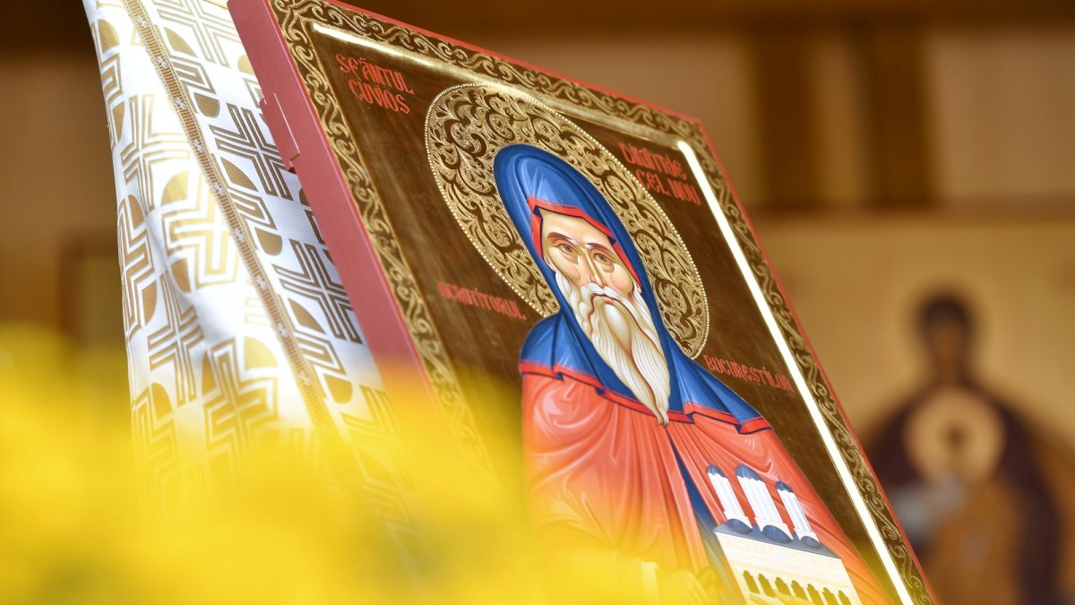 Cuviosul Dimitrie, Sfântul Ocrotitor al Bucureştilor