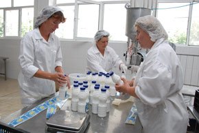 „Pentru producătorul român de lactate, anul acesta este foarte greu“