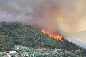 Spania, Grecia şi Canada, afectate de incendii