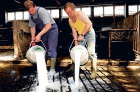 Sectorul laptelui, în criză