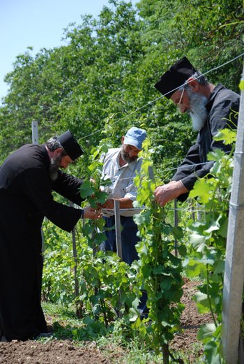 Nevoia de muncă şi rugăciune la Mănăstirea Căldăruşani