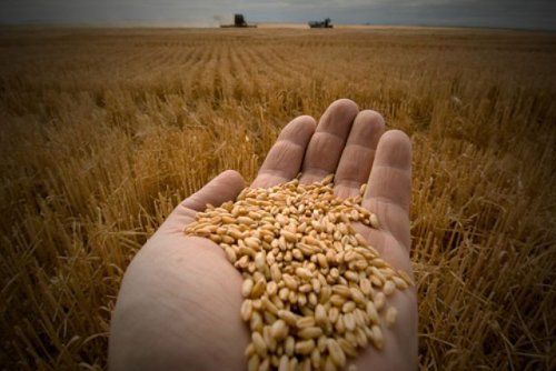 2011 se anunţă un an agricol bun