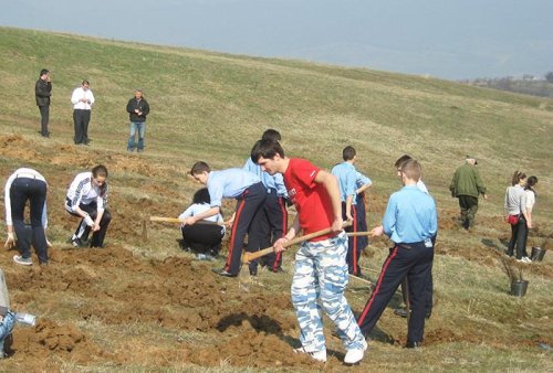 Campanie de împădurire desfăşurată de tineri voluntari din Alba