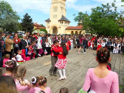 Acţiuni de voluntariat în Alba Iulia