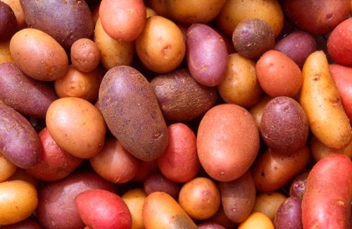 Cartofii scad tensiunea arterială