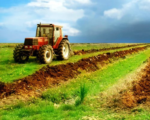 „România trebuie să continue să-şi dezvolte agricultura“