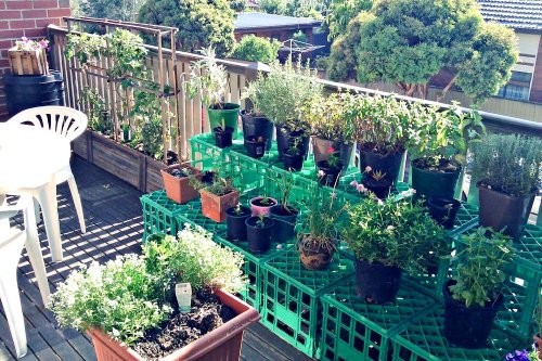 Cum să vă pregătiţi o mică grădină la bloc