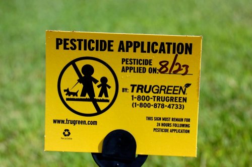 Utilizarea pesticidelor provoacă pagube uriaşe apicultorilor