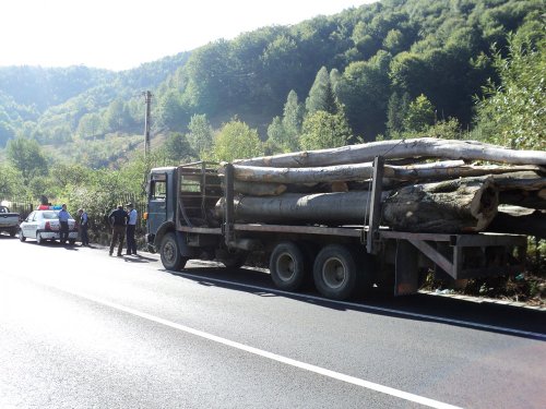 Furtul de lemn în România a atins cote uriaşe
