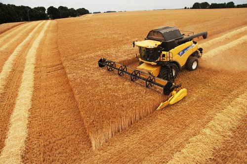 „Nu vom avea un an agricol mai bun decât 2011“