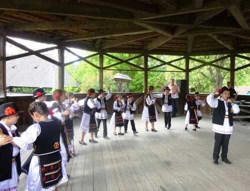 Activităţi în programul „Şcoala Altfel“, la Cluj-Napoca