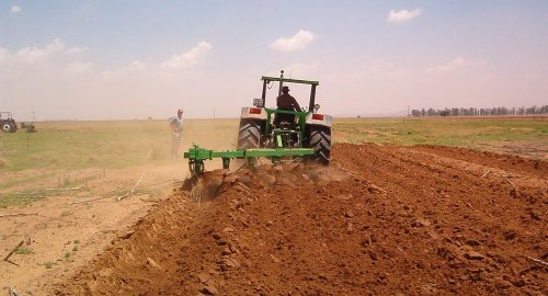 Plăţile directe în agricultură pentru următorii cinci ani