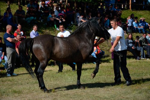 Festivalul Huţulilor în Obcinele Bucovinei