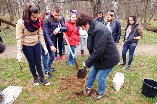 Tineri din Sibiu au plantat copaci în Parcul Sub Arini