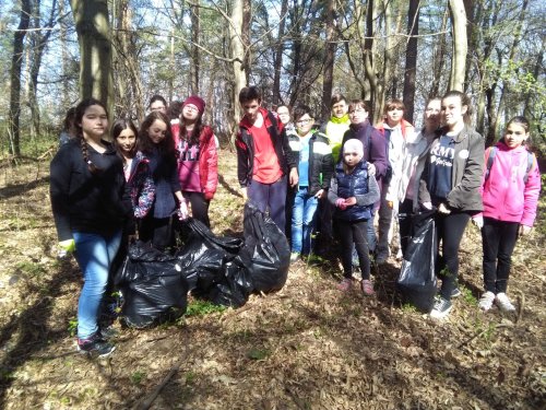Elevi din Sibiu, la o acţiune de ecologizare